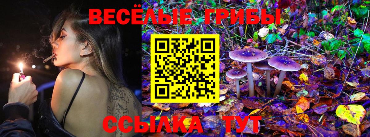 Чусовой  Галлюциногенные грибы прущие грибы  Вход с VPN  Галлюциногенные грибы Cubensis 